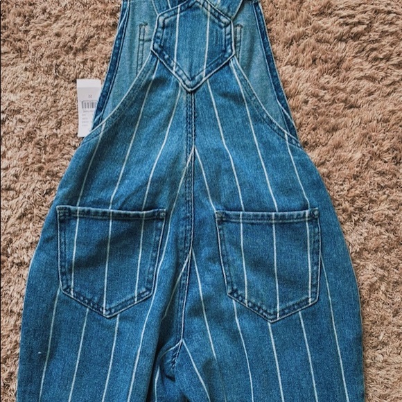 ✿pacsun pinstripe overalls✿ - Picture 4 of 6